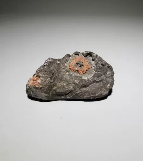 天然矿物石镇纸 尺寸 :9.1 / ...