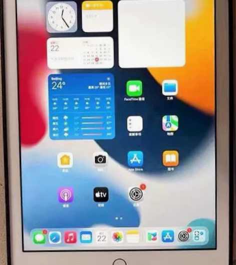 闲置ipad平板 Air3 256g 苹果...
