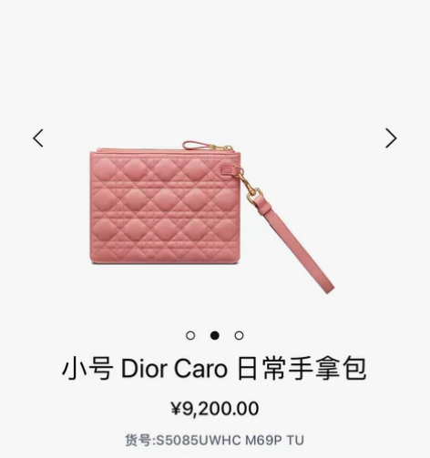 Dior女士手拿包全新 感兴趣的话点“我想...