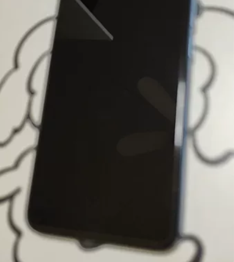 魅族18X 蓝色 8+256 贴膜带壳使用...