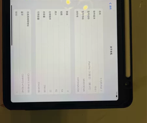 Apple/苹果 iPad Pro 11英...
