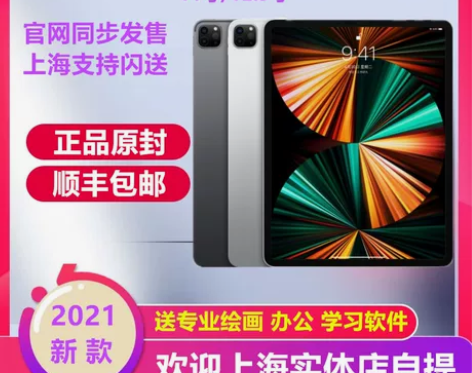 2021新款Apple/苹果 iPad P...