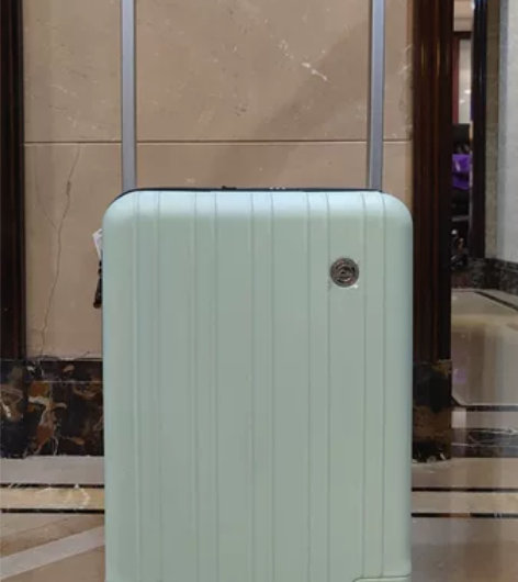 植物医生 行李拉杆箱，20寸标准登记箱，旅...