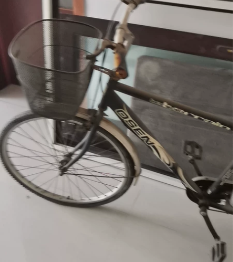 没地方,转三枪牌自行车一辆 感兴趣的话点“...