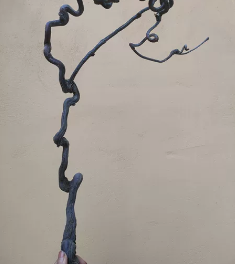 龙枣枝盘龙枣枝插花艺术根雕艺术鱼缸造影鸟拐...