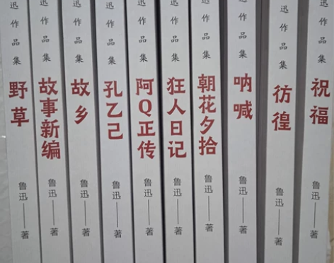 闲置出 鲁迅全集必读10册朝花夕拾狂人日记...