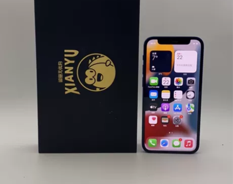 95新Apple/苹果 iPhone 12...