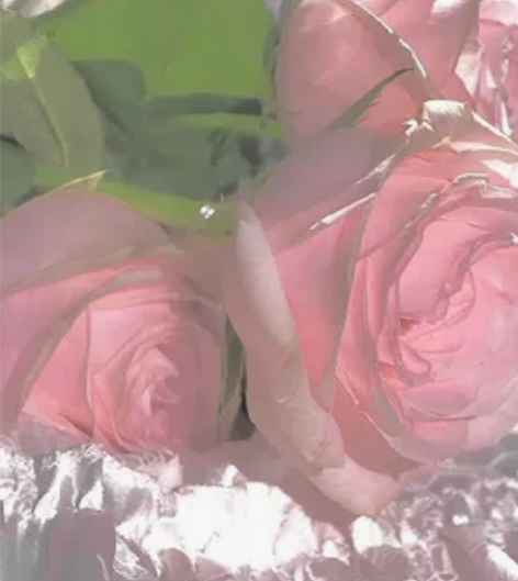 高中生物/化学线上辅导！ 一对一，知识点讲...