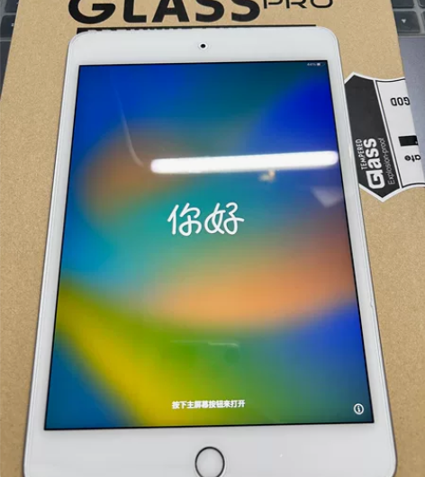 Apple/苹果 iPad mini5 2...