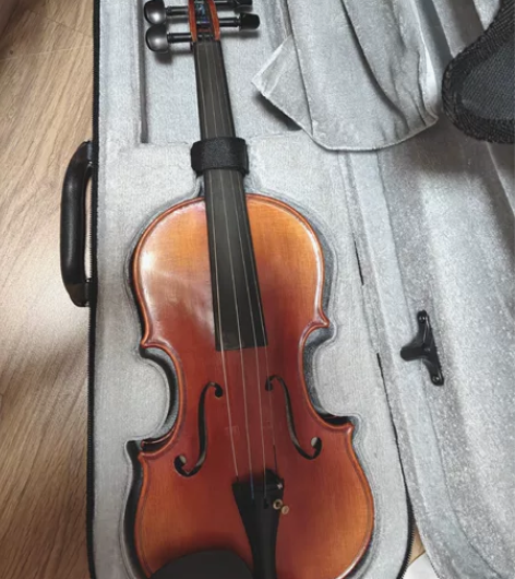 塞尔夫(SCHAAF)儿童小提琴全新，只含...