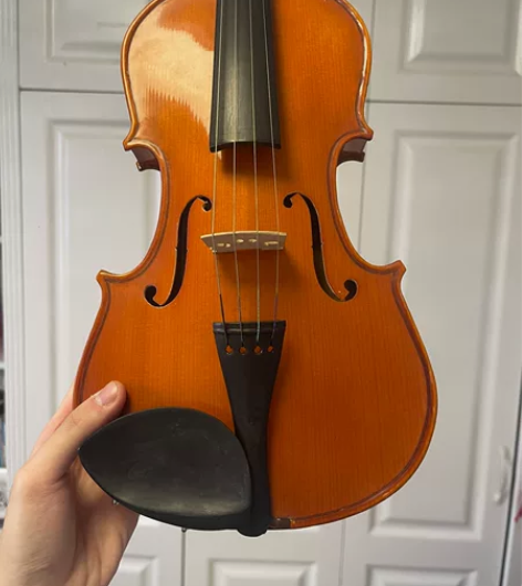 全新百灵小提琴4/4，低价处理 用料可以，...