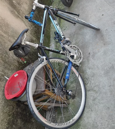 结婚后放弃了！650c  TRiace公路...