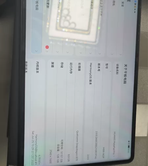 华为Mate Pad Pro，去年买的，很...