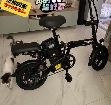 上个月买的德国尊尚电动车,可折叠,可放后备...