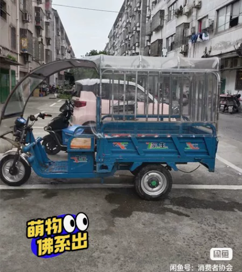 【预售】宗生电动三轮车，车厢1.51米，雨...