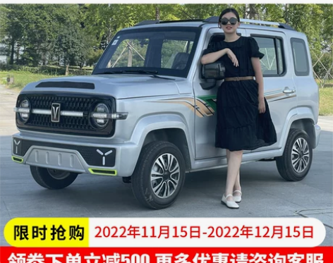 新能源电动四轮车家用头成人轿车代步车乐年人...
