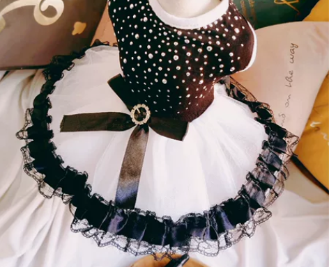 25元全新包邮厂家直销宠物猫狗时尚衣服，裙...