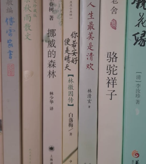挪威的森林，骆驼祥子，余秋雨散文，林徽因你...