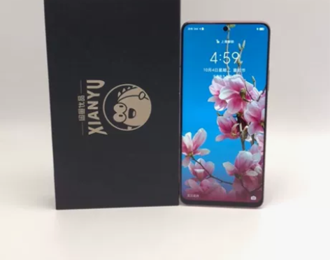 9成新honor/荣耀 荣耀 X30(5G...