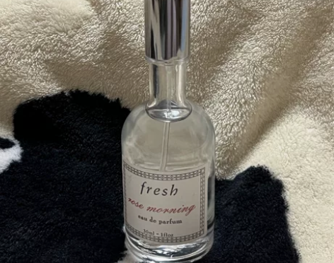 fresh晨露玫瑰rose morning...