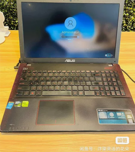 华硕飞行堡垒    12G运存  500G...