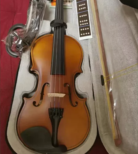 转让个人3500入手的4/4小提琴，买了几...