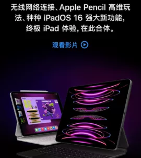 ipad pro2021，自用的，可以视频...