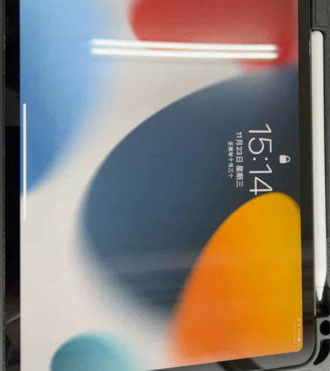 Apple/苹果 iPad Pro 11英...