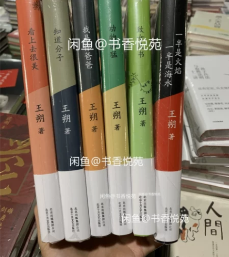 王朔文集全6册 看上去很美+致女儿书+知道...