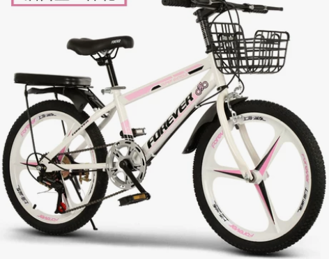 永久儿童变速山地车自行车20寸大童中小学生...