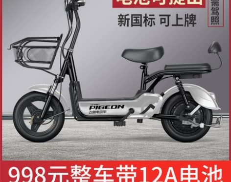 飞鸽电动车新国标48v锂电池成人代步小型女...