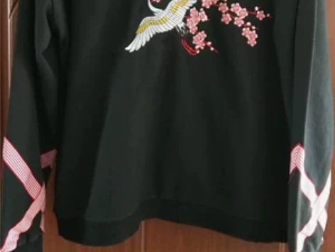 卫衣男纯棉绣花宽松连帽 黑色，175/XL...