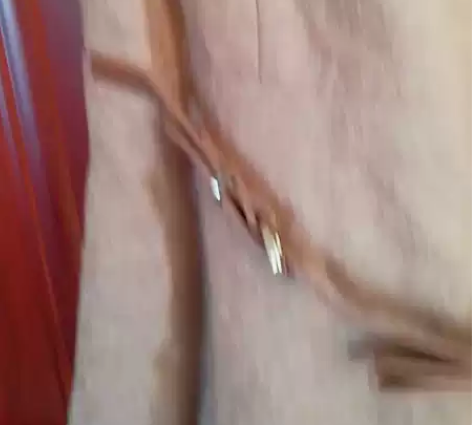 出售冬季无袖裙子，适合深秋初冬穿，公主风连...