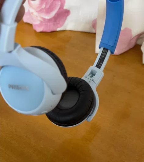 Philips飞利浦耳机（可议价，没盒子）...