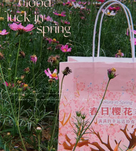收一个苹果12-13或者12pro 感兴趣...