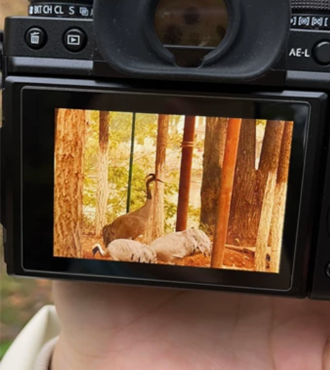 富士XF35F2镜头 官方旗舰店购入 标价...