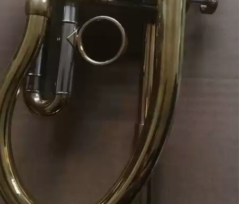 新款小号,音色优美,外观很好,有需要的可以...