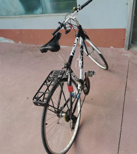 心爱的马儿！唉！朋友2017年从香港帮忙买...