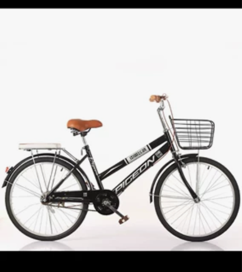 飞鸽牌复古女式自行车，双梁，原价330，九...