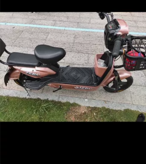 加州豹电动车新国标电瓶48V小型代步踏板助...