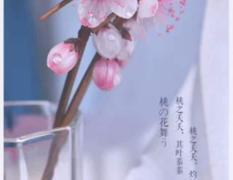 折枝 绘观物志新品原创少女古风盘发日常汉服...