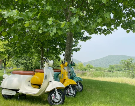 摩托车 整车罗马假日电动车vespa网红电...