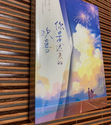 全新 未拆封 青春文学《你是迟来的欢喜》 ...