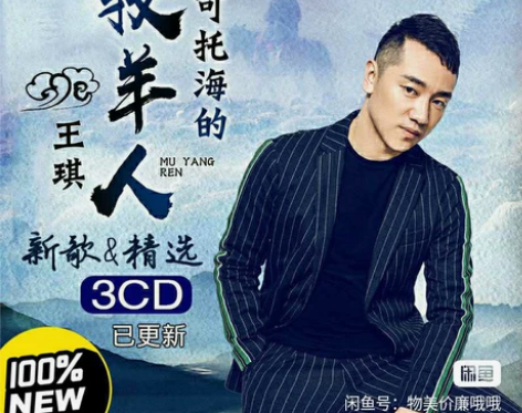 王琪正版专辑可可托海的牧羊人流行歌曲黑胶无...