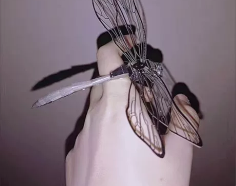 处理一批全新的3d手工蜻蜓摆件模型桌面摆件...