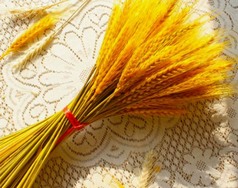 天然麦穗干花黄金大麦开业花篮田园装饰客厅摆...