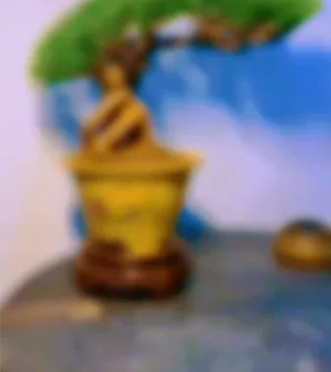 山河黑松盆景大树飘枝 感兴趣的话点“我想要...