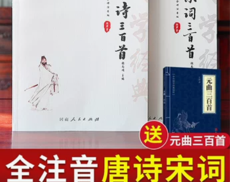 唐诗宋词三百首 唐诗宋词三百唐诗首正版全集...