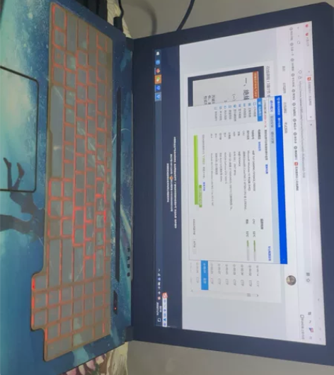 Asus/华硕 飞行堡垒5代  游戏本 C...