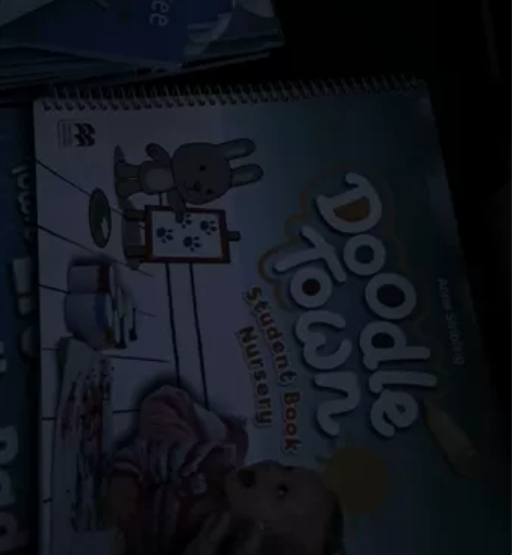 原版涂鸦小镇麦克米伦幼儿英语Doodle ...